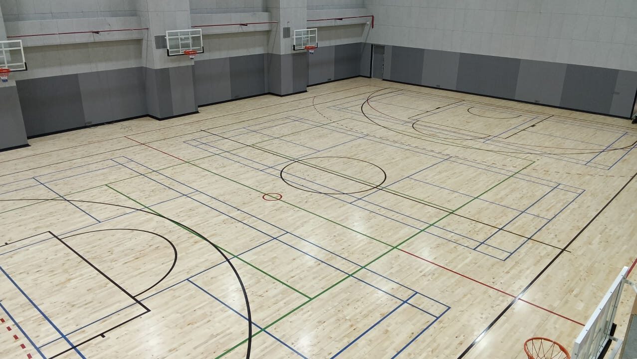 Wellington school international MPH